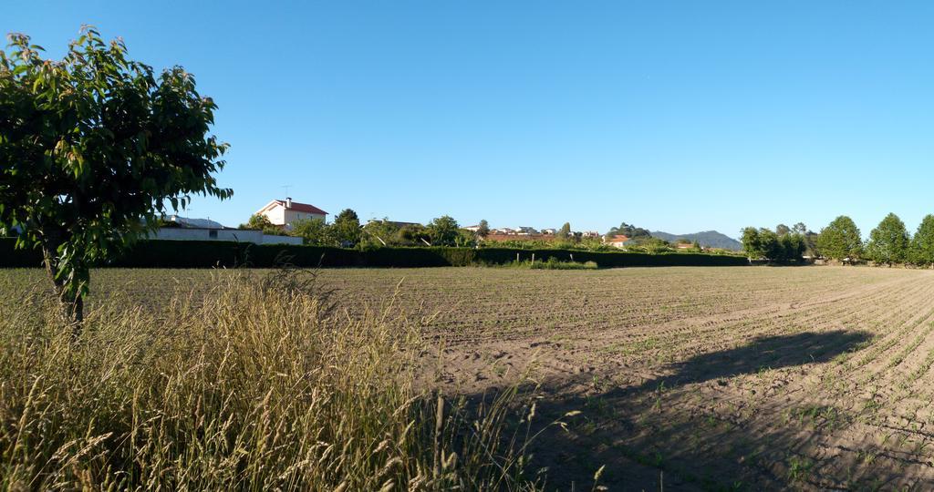 バルセロス Quinta Da Lageヴィラ エクステリア 写真
